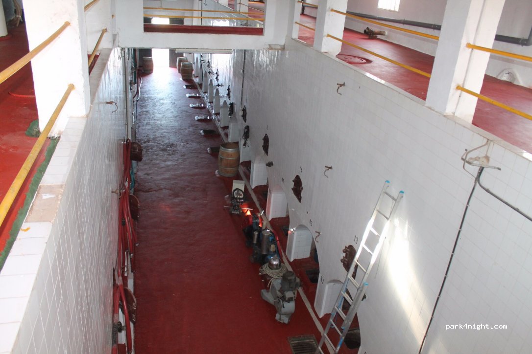 Bodega Les Useres — foto 4