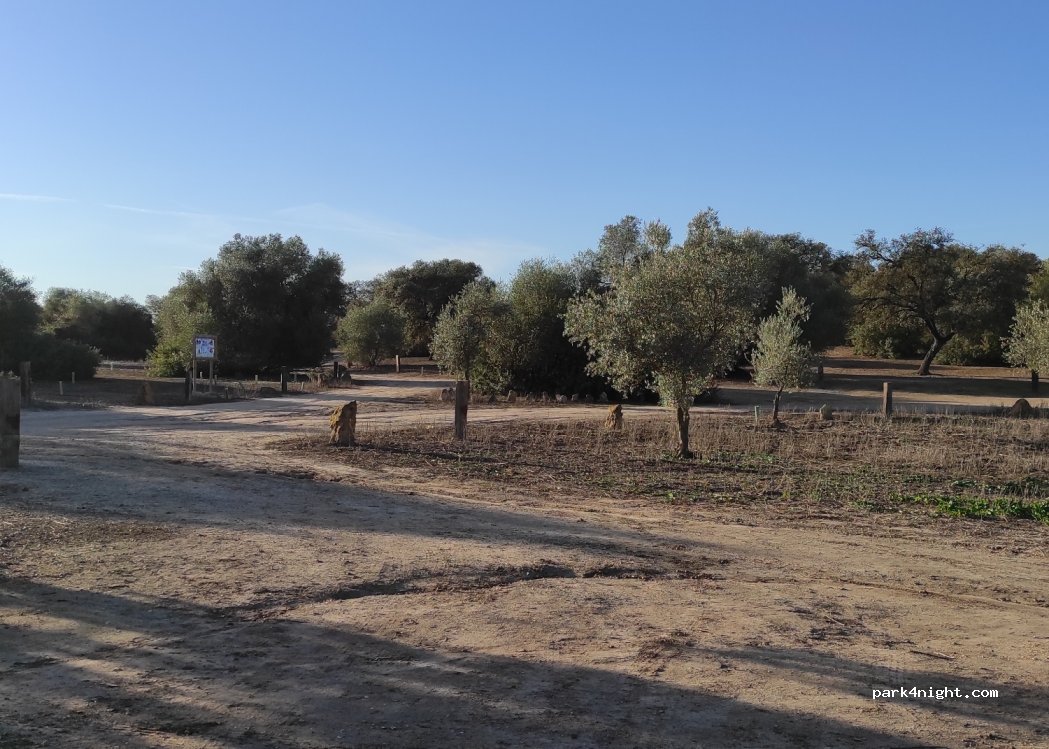 (41760) El Coronil - SE-437 — foto