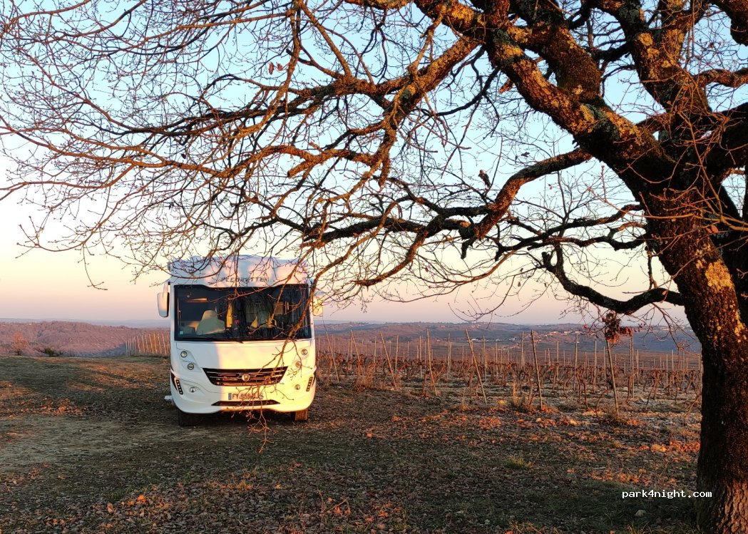 Vignoble Clos de Pougette — foto