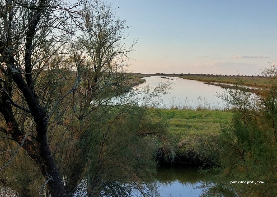 (17780) Moëze - Unnamed Road — foto 3