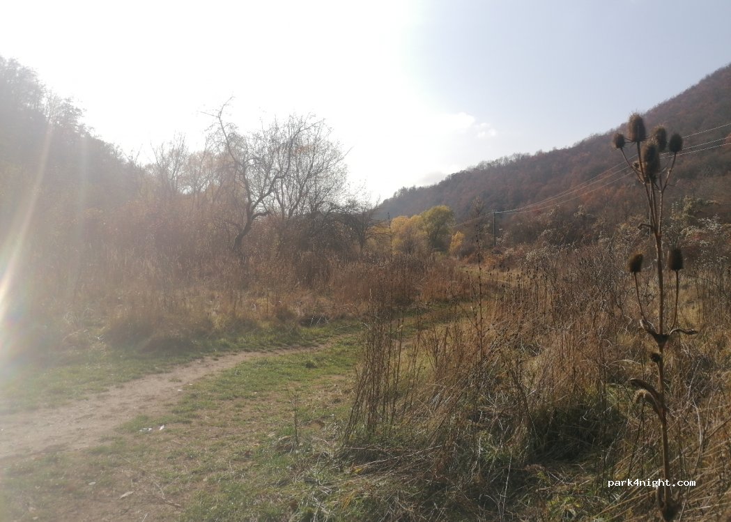 (327040) Bozovici - 57B — foto