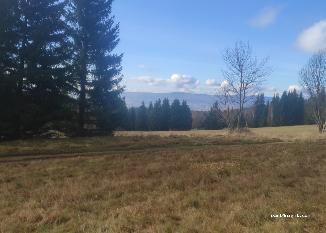 (57-514) Międzygórze - Unnamed Road — foto