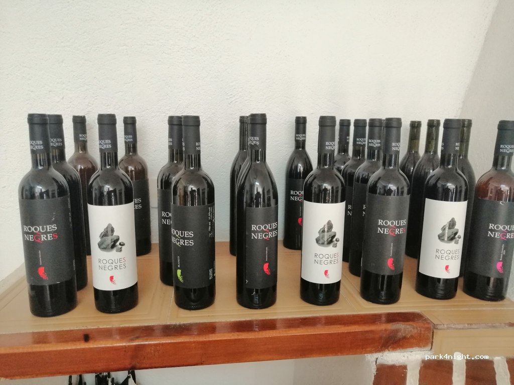 Bodega El Mollet — foto 2