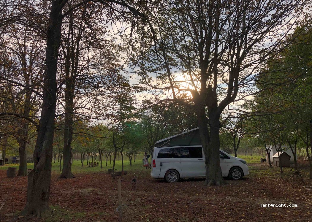 (307228) Rudna - DC192 — foto 2