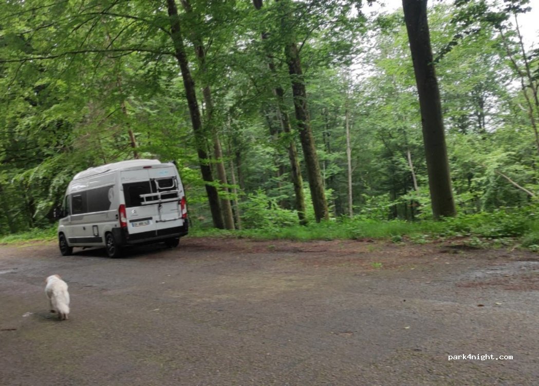 () Fougerolles-Saint-Valbert - — foto 2
