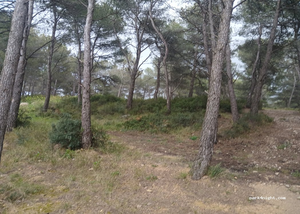 (13480) Cabriès - — foto 5