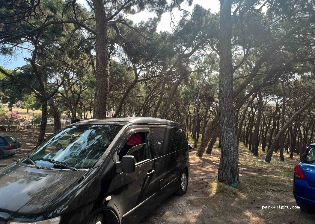 (811 00) Mitilini - 22 8i Noemvriou — foto 3