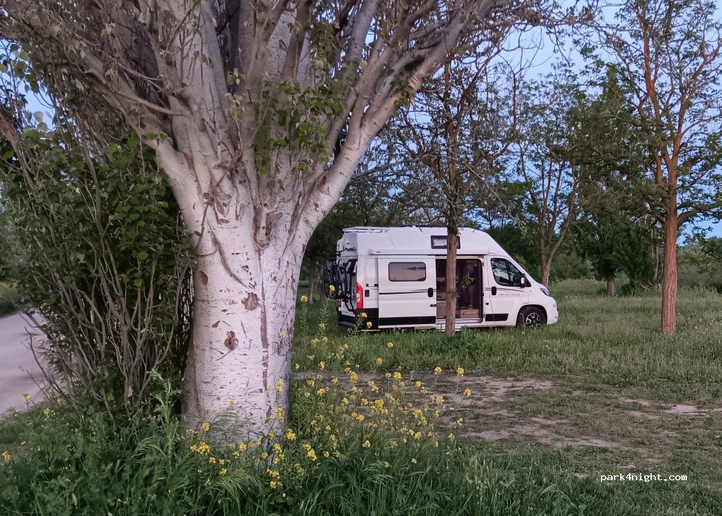 (31570) San Adrián - — foto 4