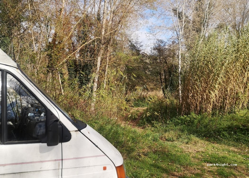 (17160) Anglès - — foto 3