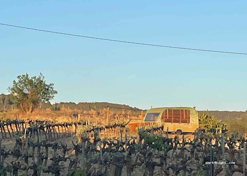 Cava Guilera — foto 4