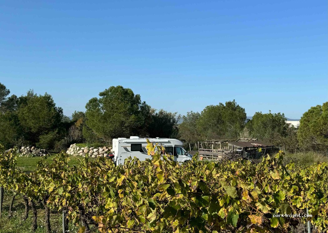 Cava Guilera — foto 5
