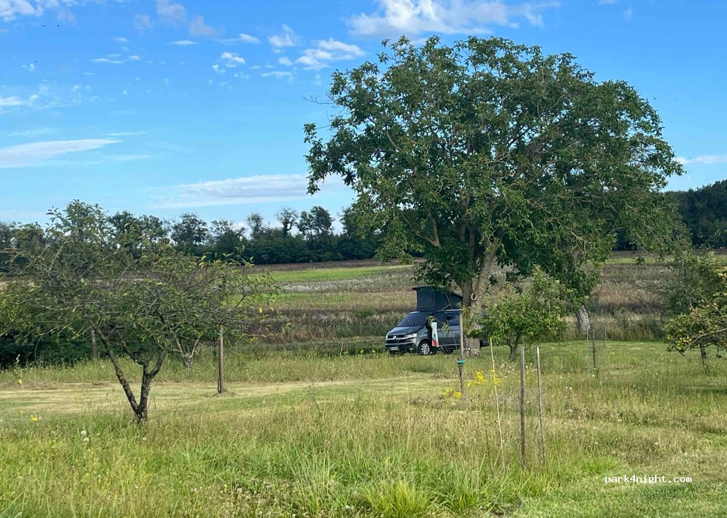 Domaine Travail Coquin — foto 4