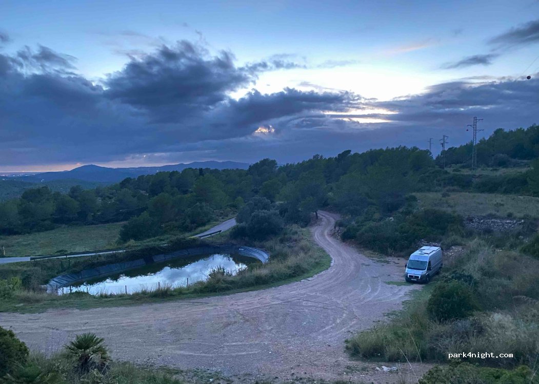 (08818) Olivella - — foto 3