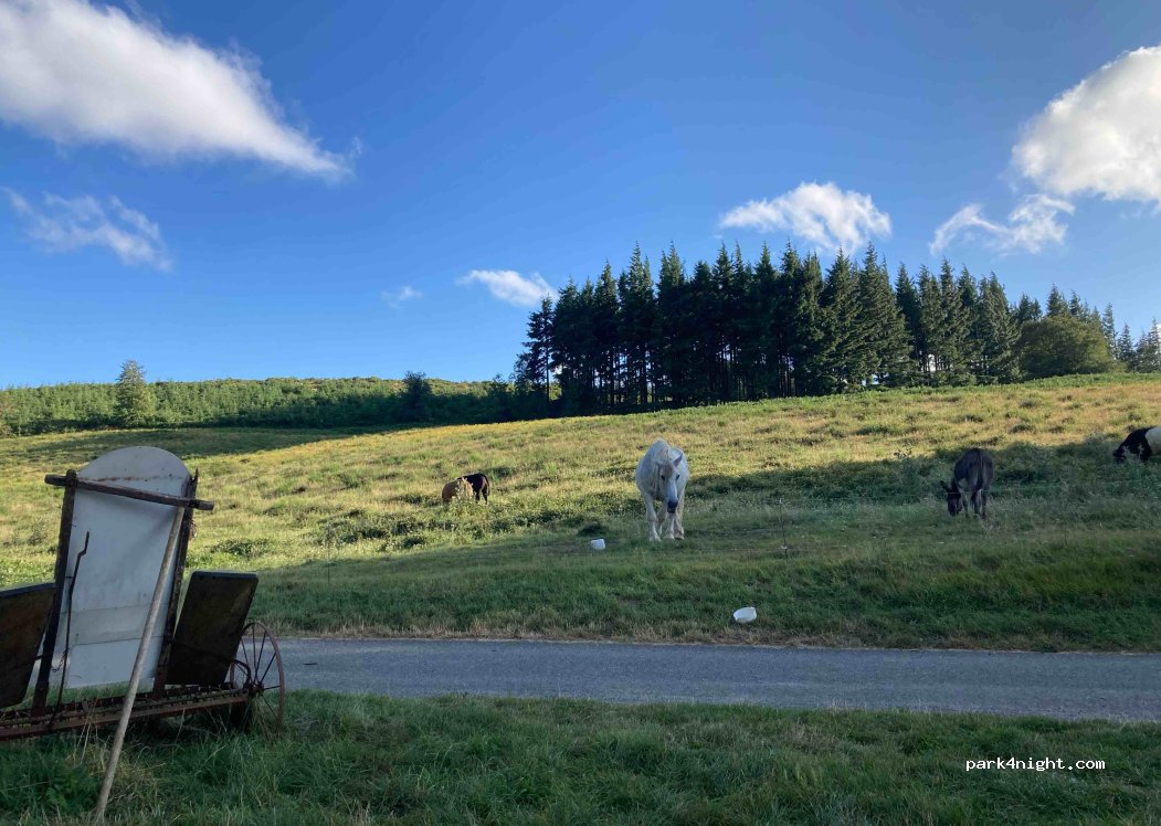 Ferme du Devès — foto 4