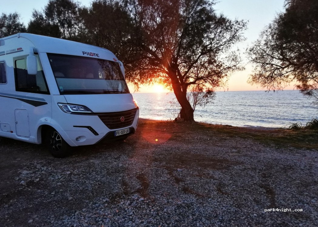 (245 00) Trifillia - — foto 4