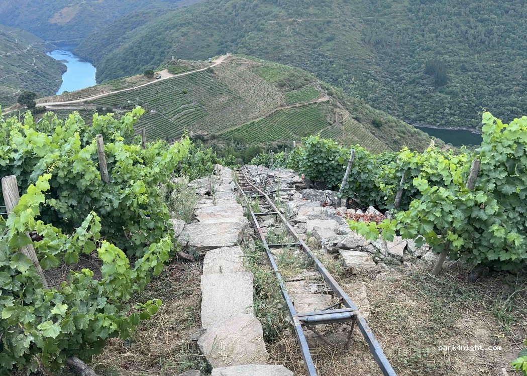 Bodegas Regina Viarum — foto 4