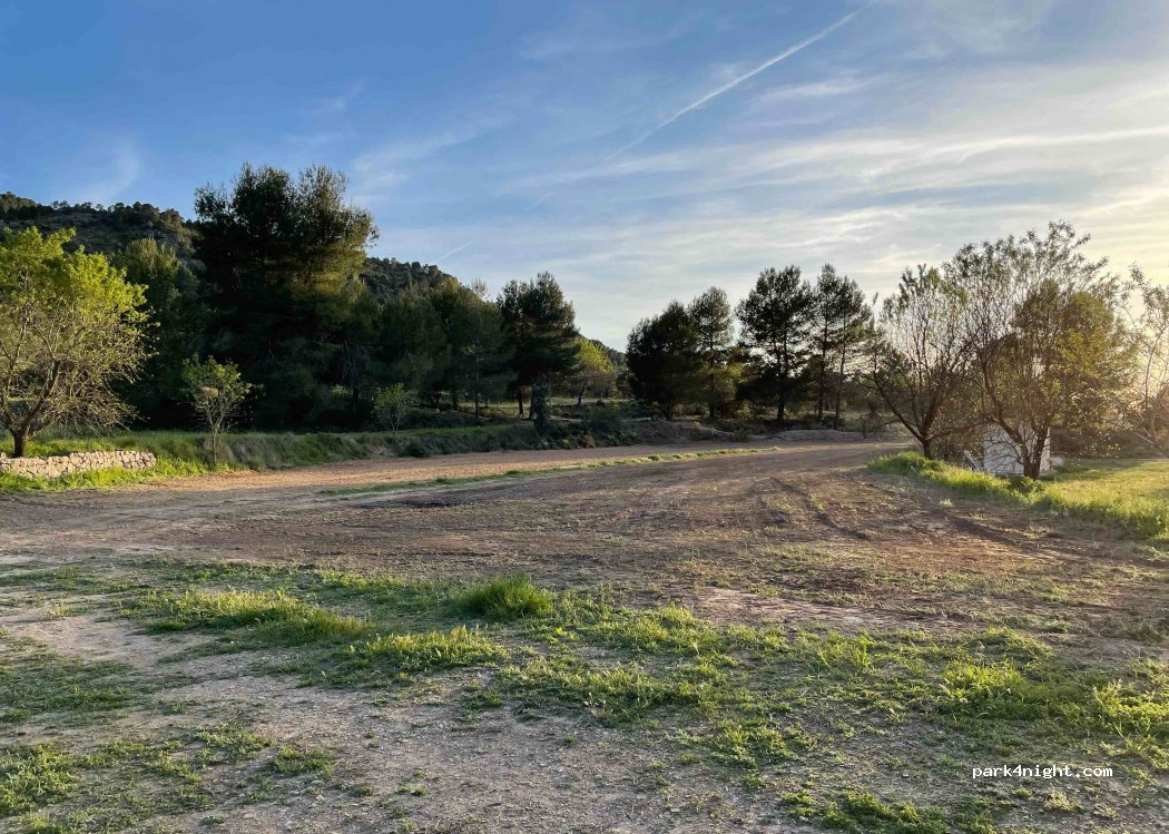La Safranera — foto 2