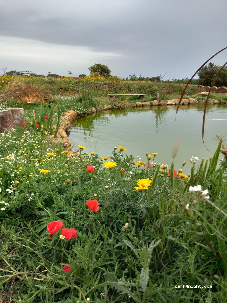 Sicily Ranch — foto 4
