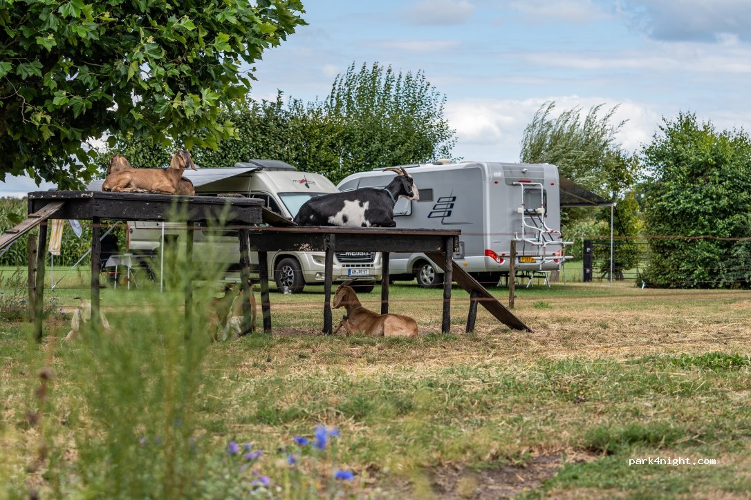 Boerderijcamping Varsenerveld — foto 2