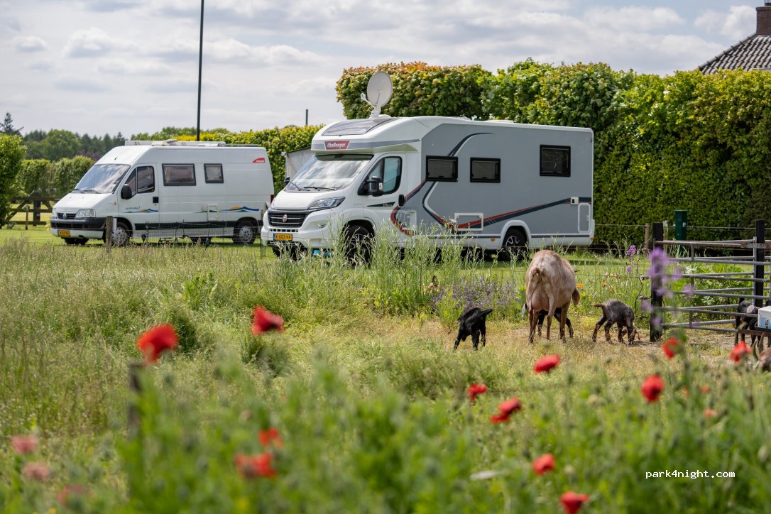 Boerderijcamping Varsenerveld — foto 4