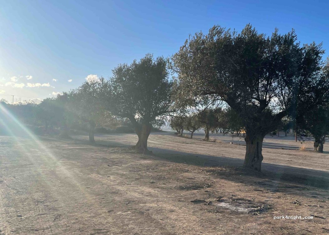 (30815) Lorca - 363 Diseminado Aguaderas — foto 3