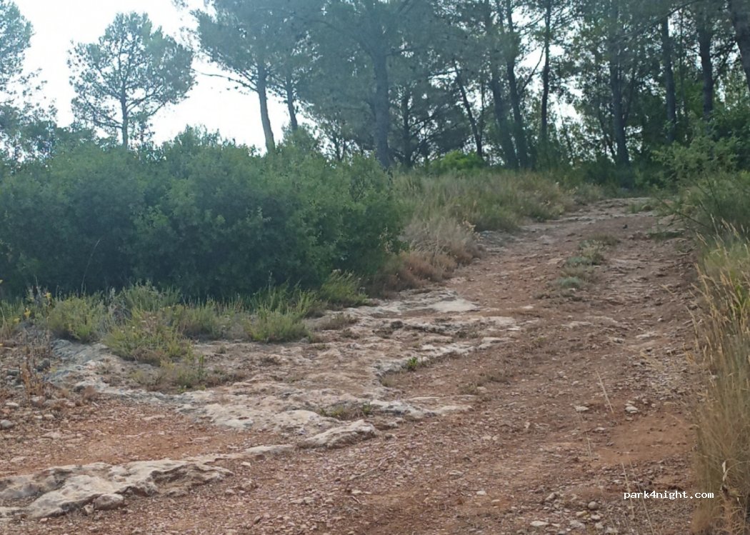 (46817) Estubeny - — foto 2