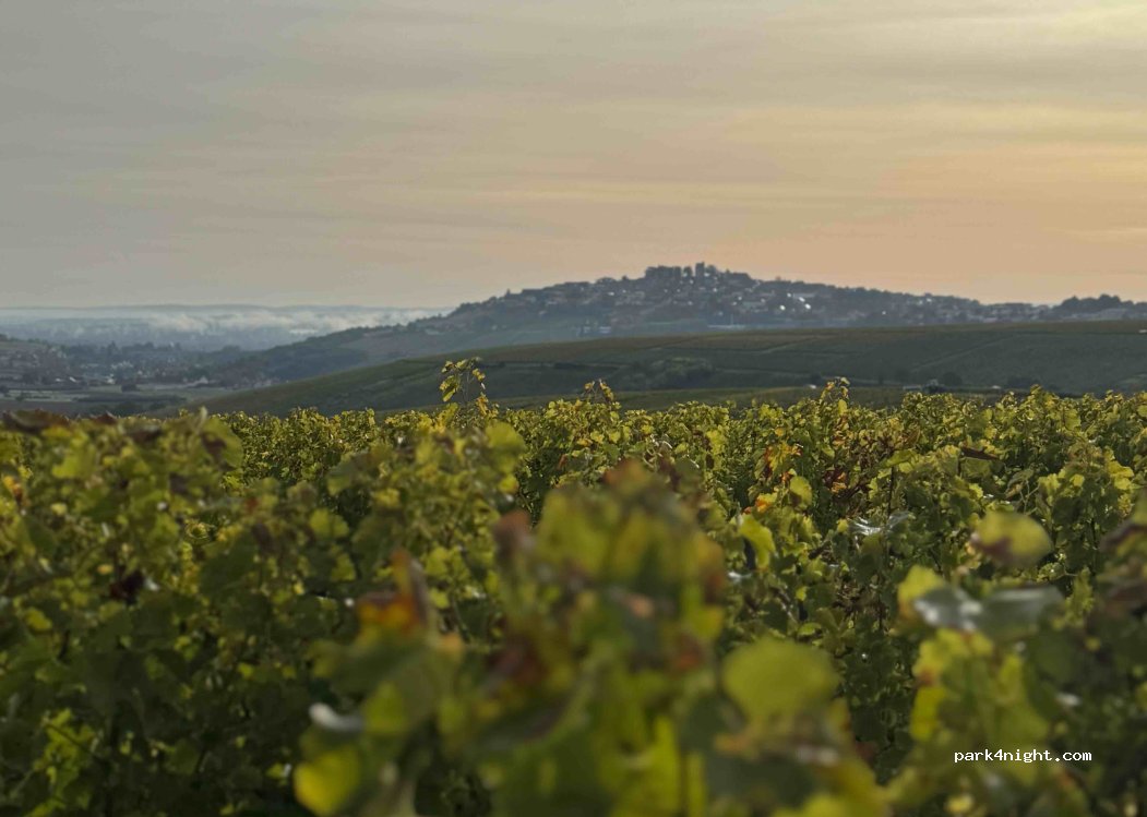 (18300) Sancerre - 1196 Les Gaudes — foto 4
