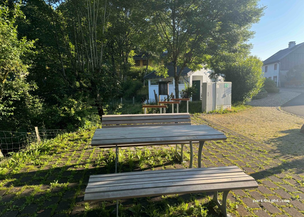 (53949) Dahlem - 30 Burgbering — foto 4