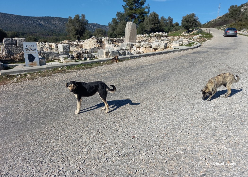 (07970) Kaş - Asar Cd. — foto 2