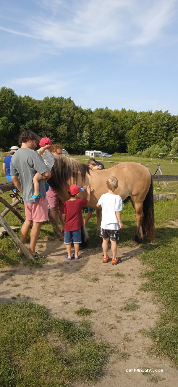 Farm & Camping Lazy — foto 4