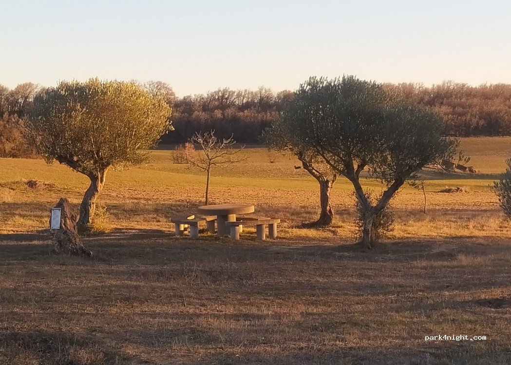 (09620) Cojóbar - — foto