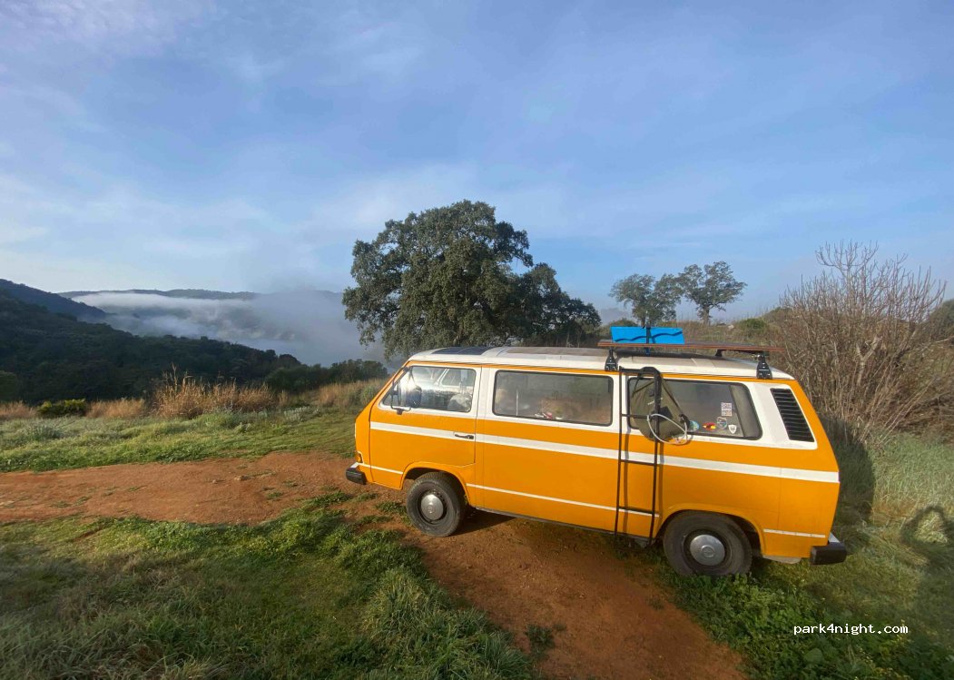 (41440) Setefilla - SE 6102 — foto