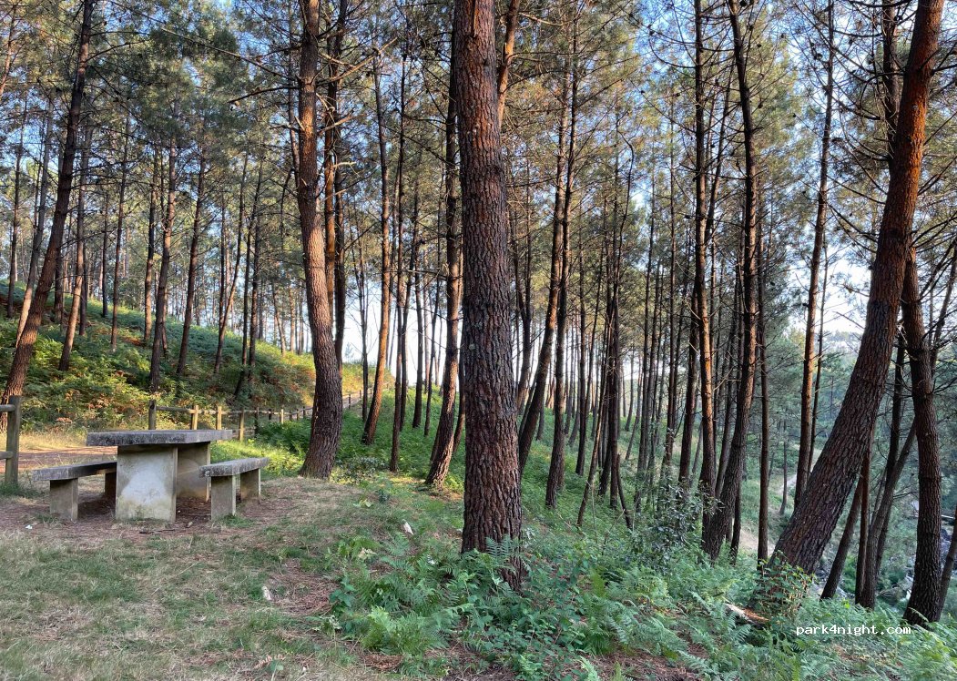 (36779) Bonaval - Unnamed Road — foto 4