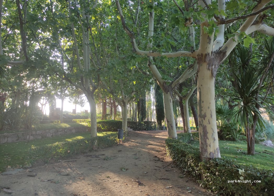 (45560) Oropesa - Unnamed Road — foto 4