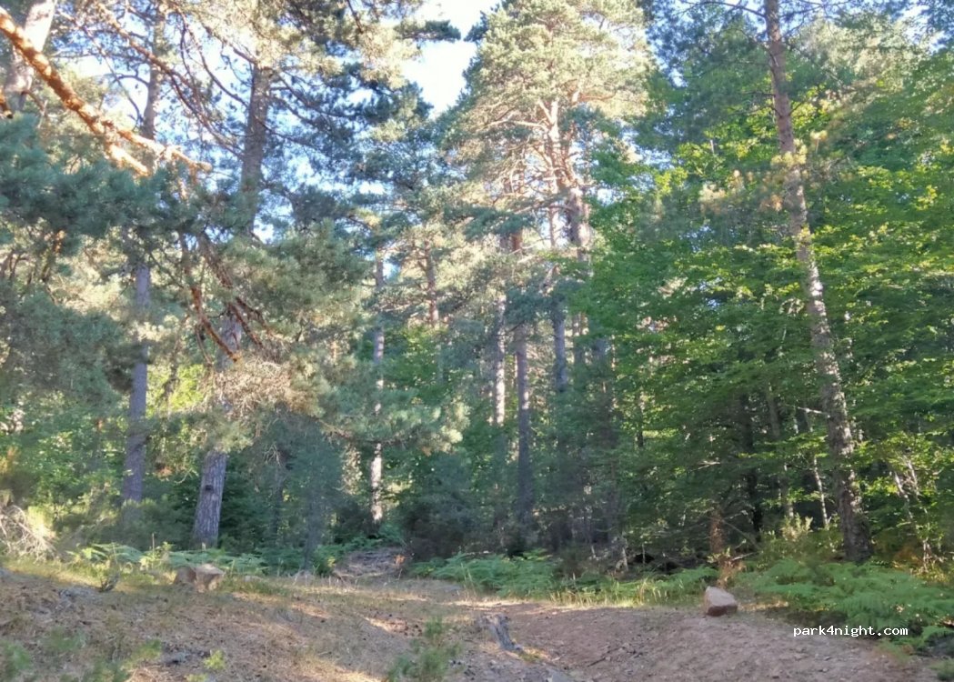 (09679) Neila - Unnamed Road — foto
