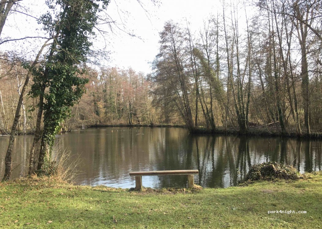 (91410) Dourdan - Chemin du Milieu — foto 2