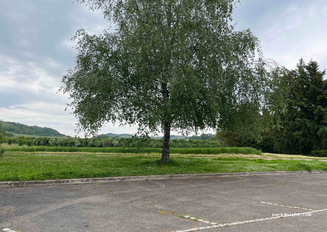 (67120) Molsheim - Mittlere Gebreit — foto 3