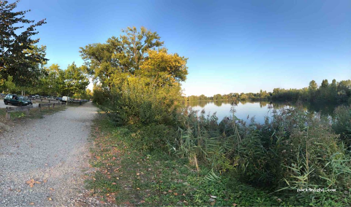 (67800) Bischheim - Chemin de la Souffel — foto
