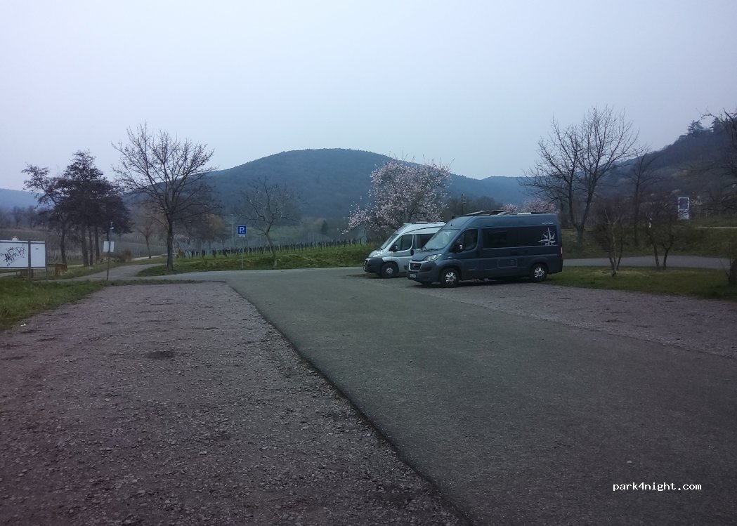 (67487) Maikammer - Kalmitstrasse — foto