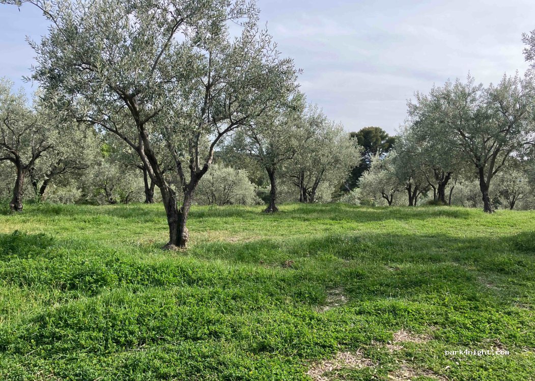 Domaine Giniès — foto 3