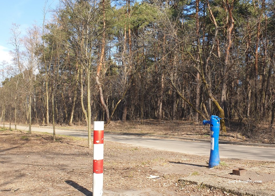 (41-303) Dąbrowa Górnicza - — foto