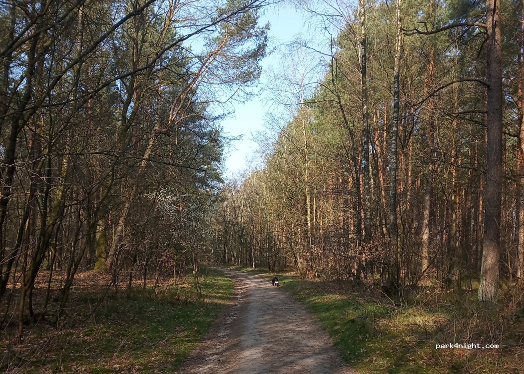 (28816) Stuhr - — foto 2