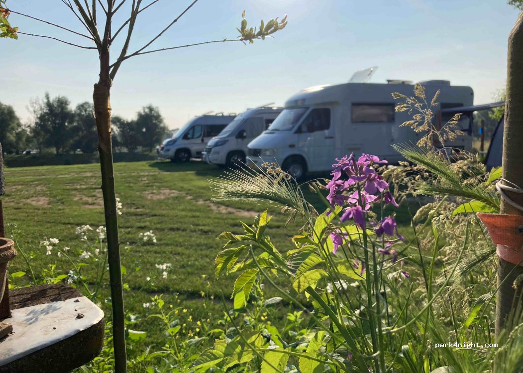 Camping De Boomgaard — foto 4