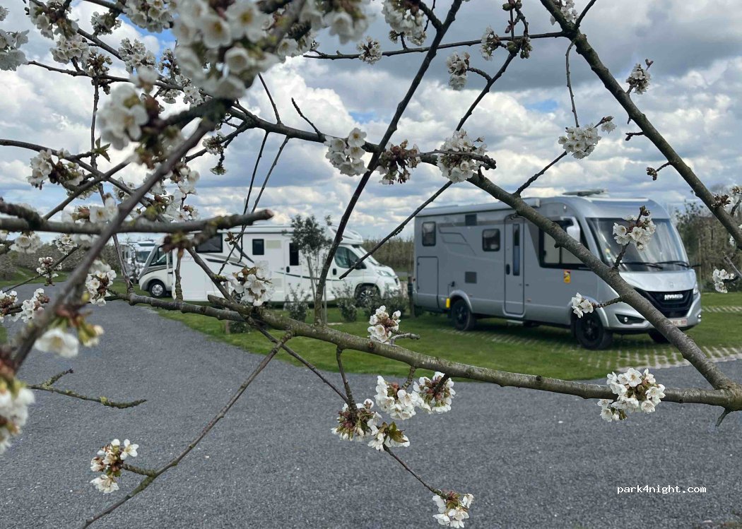Camperplaats De Plantage — foto 3
