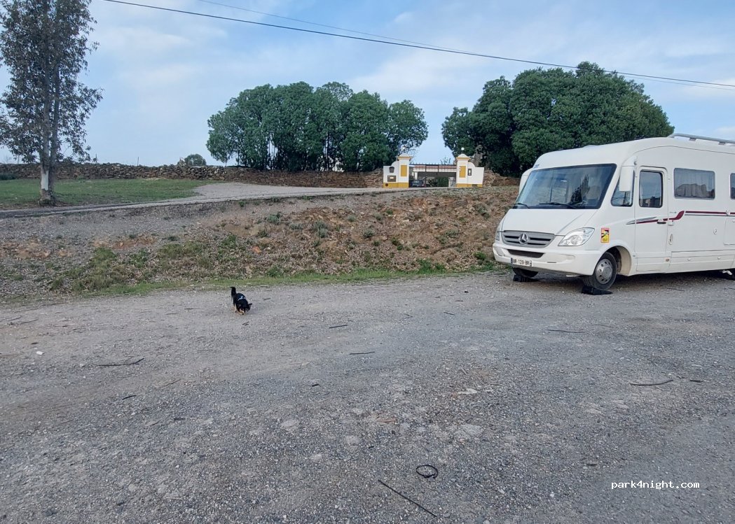 (7670) Ourique - 24 Cm 1131 — foto 4