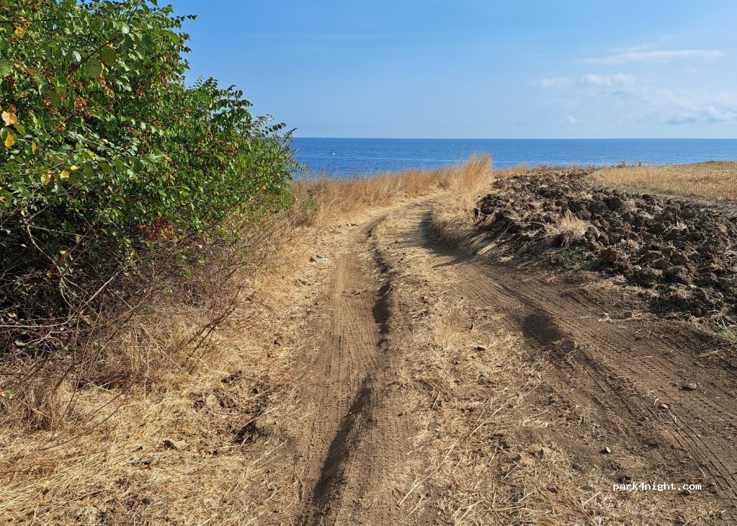 (8278) Varvara - — foto 3