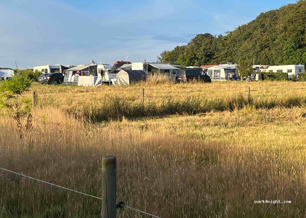 Hertugbyens Camping — foto 3