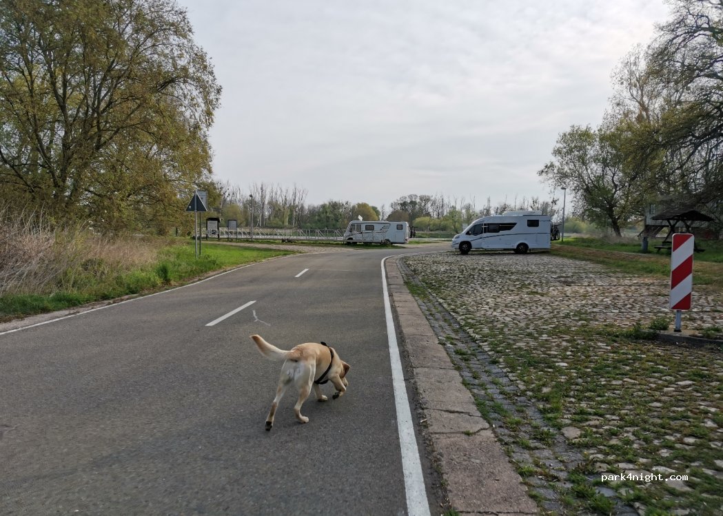 (39240) Barby - 1 Fährstraße — foto 3