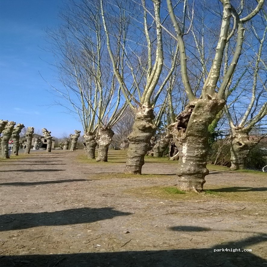 (65500) Vic-en-Bigorre - 7 Quai de l'Échez — foto