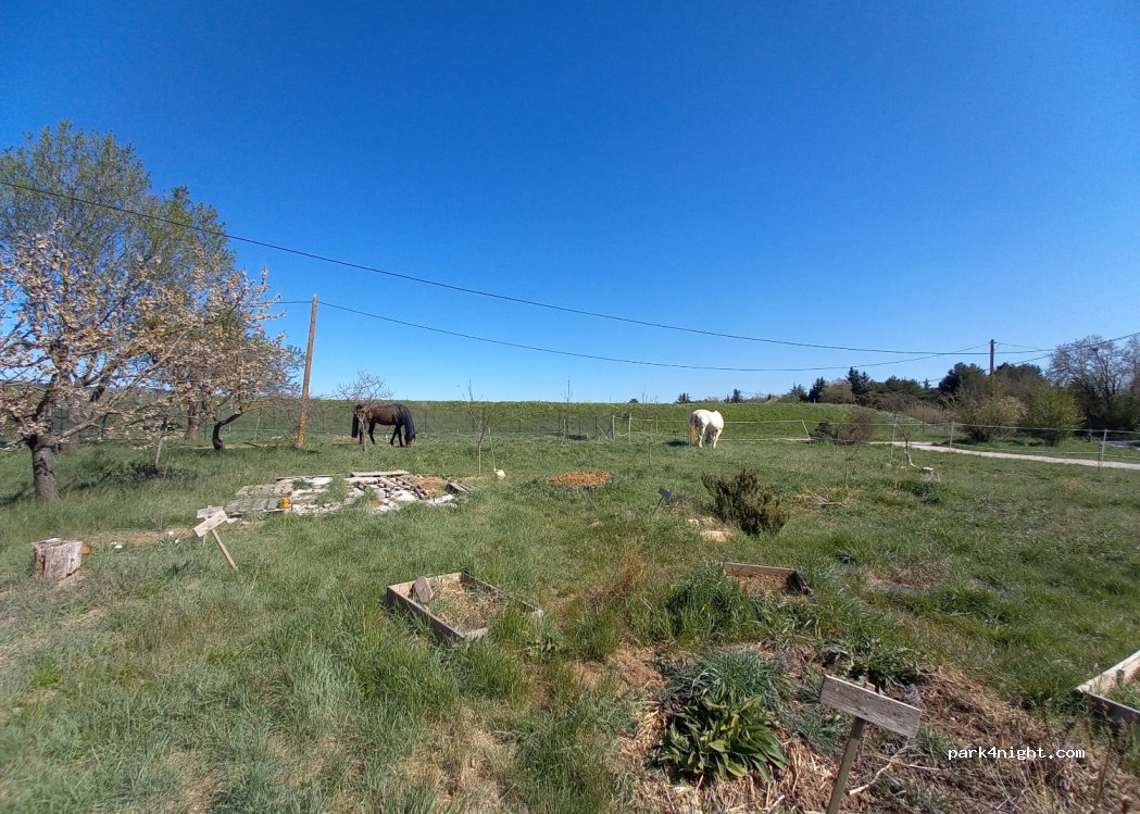 Oasis de la Nourrice — foto 2